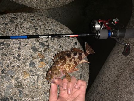 潮が悪いので...