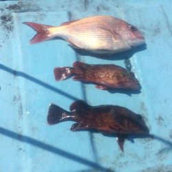 5月5日  紀中  タイラバ