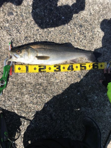 厳しい中の一枚