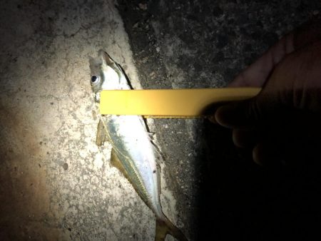 アジのなめろうが食べたくて