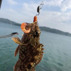 ガッシーは裏切らない