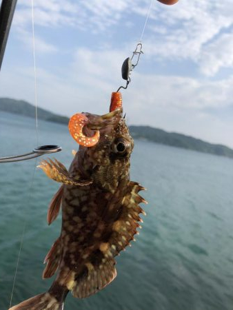 ガッシーは裏切らない