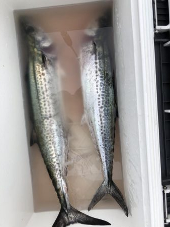 今期初、令和初