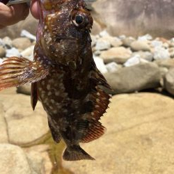 ゴールデンウィーク最終日