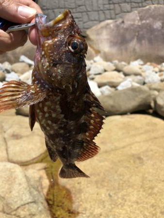 ゴールデンウィーク最終日