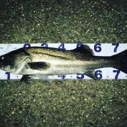 いつものとこで。