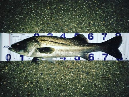 いつものとこで。