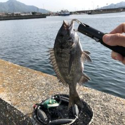 令和初の釣果はフカセ釣りのチヌでした♪