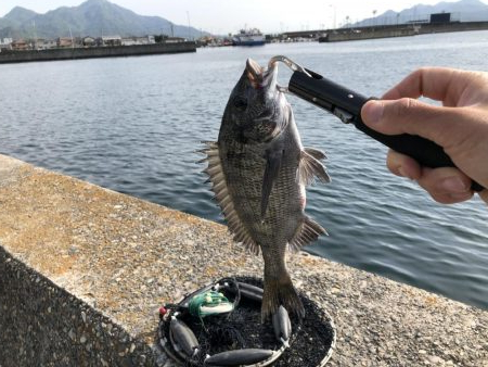 令和初の釣果はフカセ釣りのチヌでした♪