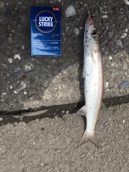 濁りの中から・・・