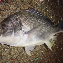 鉄板バイブを満喫