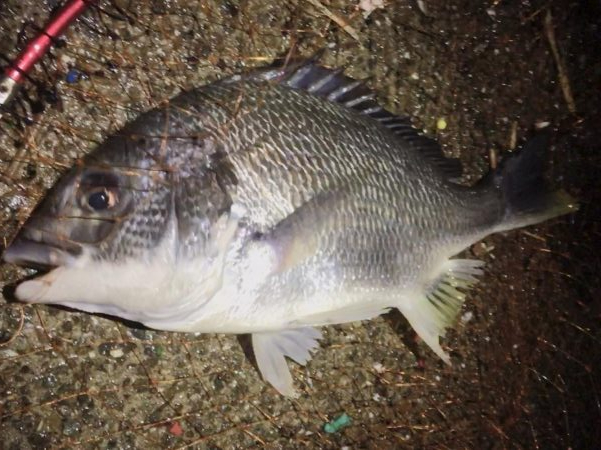 鉄板バイブを満喫