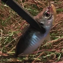 風強かったけど楽しかった^ ^