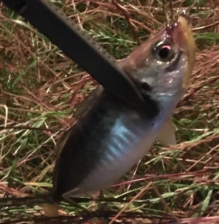 風強かったけど楽しかった^ ^