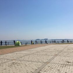 さば、サバ、鯖！