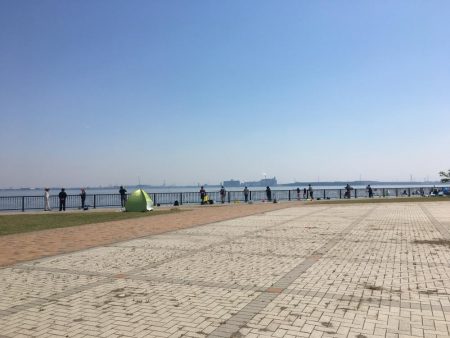 さば、サバ、鯖！