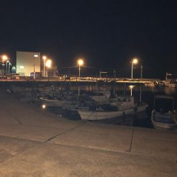 令和元年初釣り