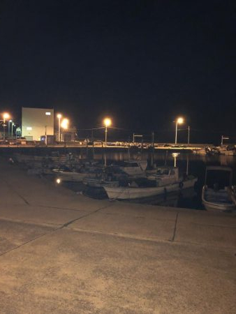 令和元年初釣り