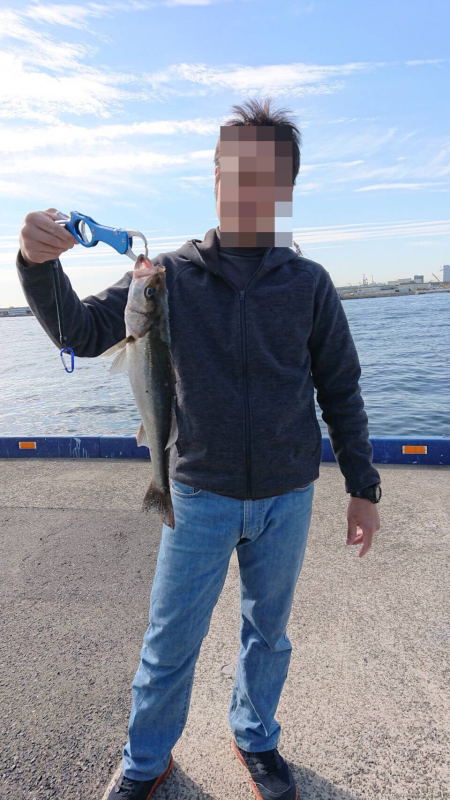 またもやシーバス