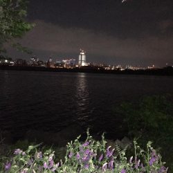 淀川のチニングパート2