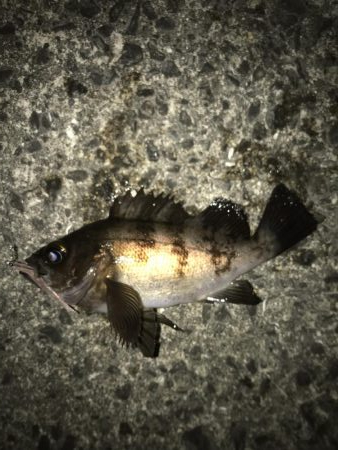 コスパ最高！スーパーボールフロート