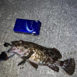 夜中の釣り