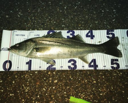 令和１本目ゲットしました。