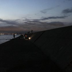 ショアジギング