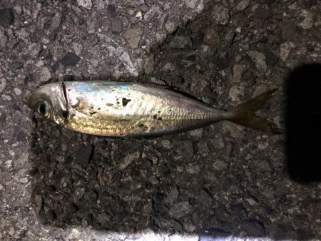 フロートアジング