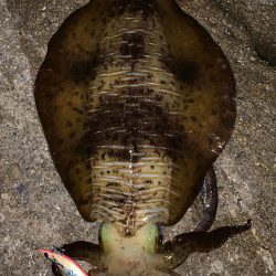 何とかキロオーバー