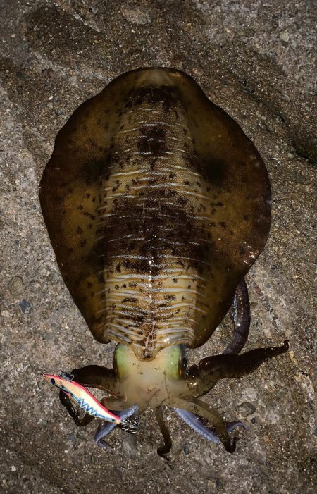 何とかキロオーバー