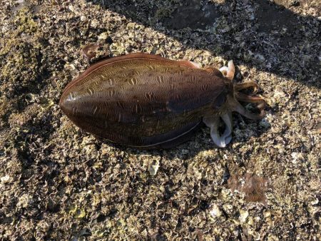 やっとのいっぱい❗þ…