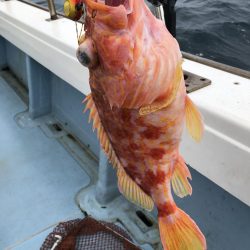 伊島沖でタイラバ