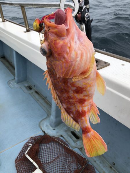 伊島沖でタイラバ