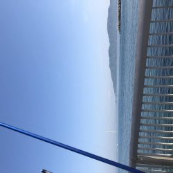 タンゴブゲーム