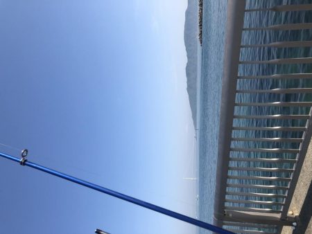 タンゴブゲーム