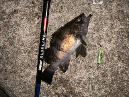 短時間メバリング