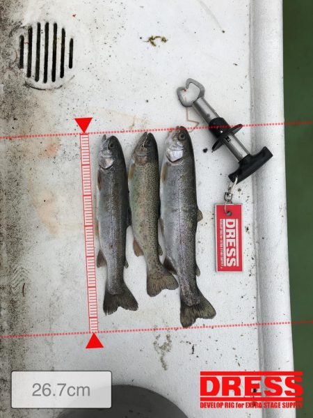 岸和田フィッシングパーク