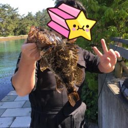 お手軽たけのこめばる