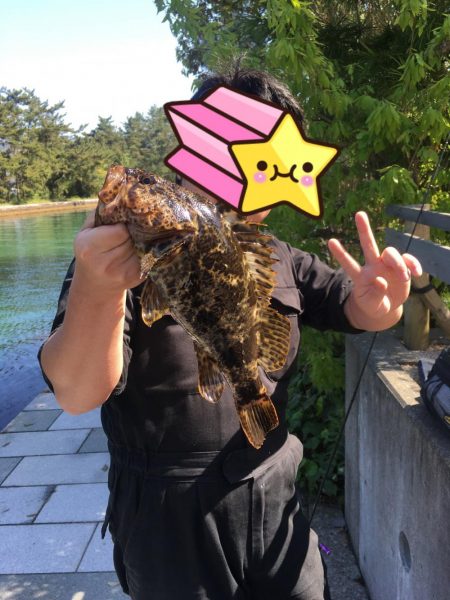 お手軽たけのこめばる