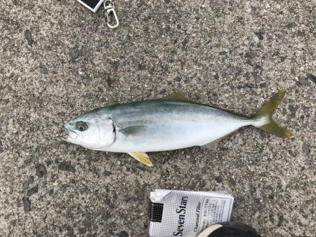 まだまだ子供。年末に期待したい。