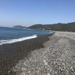 シイラゲット！