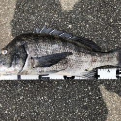 イチノ兄弟、釣果！