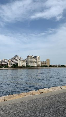 東側水道にてツバス