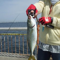 メタルジグでツバスゲーム