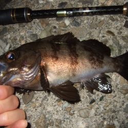 予想外のアミパターン