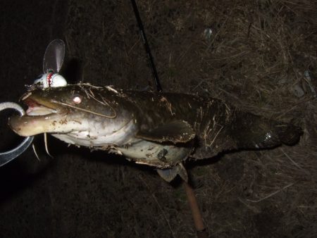 なかなか絞れません