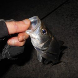 バチパターンでヒット