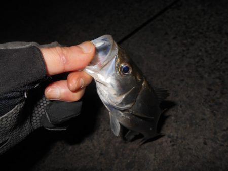 バチパターンでヒット