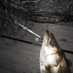 暗くなるまでが勝負